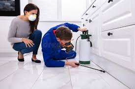 Best Emergency Pest Control  in Carrollwood, FL